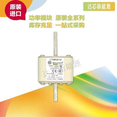 170M5593 170M5594 170M5595 170M5596 170M5597 170M5598熔斷器