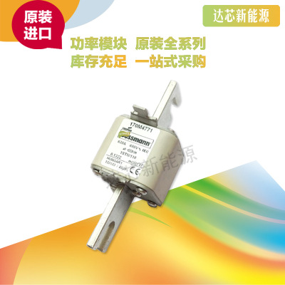 170M4758 170M4759 170M4760 170M4761 170M4762 170M4763熔斷器