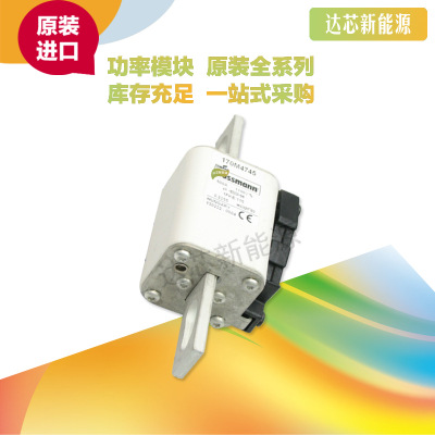 170M4764 170M4765 170M4766 170M4767 170M4768 170M4769熔斷器