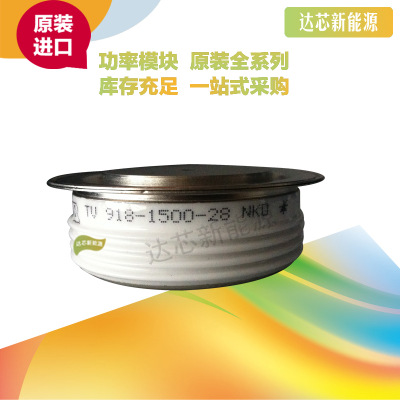 T918C-2010-16 全新原裝正品 瑞士ABB 晶閘管模塊現(xiàn)貨直銷
